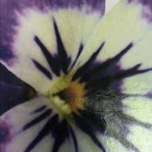 Meet your Posher, Shelley